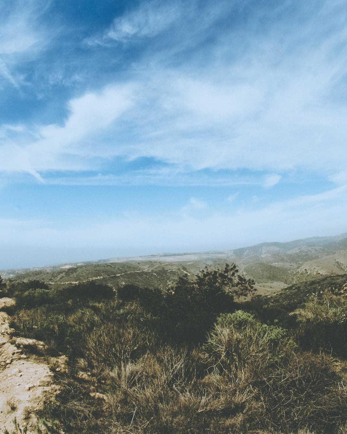 Verão — The scent you almost catch